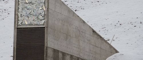 Rezerva Mondială de Seminţe va salva omenirea în cazul unui DEZASTRU. Acum clădirea, unde nu are acces publicul, poate fi vizitată online Rezerva Mondială de Seminţe va salva omenirea în cazul unui DEZASTRU. Acum clădirea, unde nu are acces publicul, poate fi vizitată online