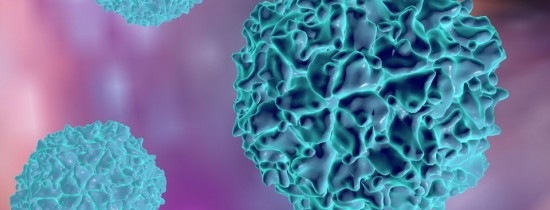 Primele molecule de ARN au folosit compartimentarea pentru a se proteja de moleculele mutante Primele molecule de ARN au folosit compartimentarea pentru a se proteja de moleculele mutante