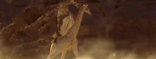 Modul INCREDIBIL prin care o girafă reuşeşte să scape de atacul unui leu – VIDEO Modul INCREDIBIL prin care o girafă reuşeşte să scape de atacul unui leu – VIDEO