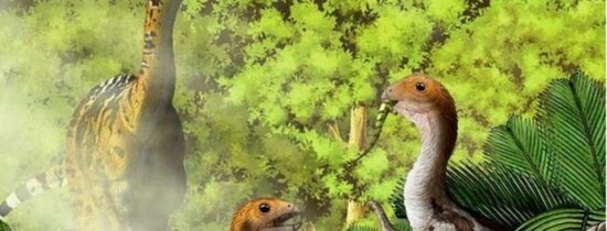 Evoluţia INCREDIBILĂ a unei specii de dinozauri ,,La nicio altă fosilă a unei vertrebrate nu a fost observată această particularitate'' Evoluţia INCREDIBILĂ a unei specii de dinozauri ,,La nicio altă fosilă a unei vertrebrate nu a fost observată această particularitate''