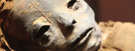 Descoperire uimitoare în ADN-ul unui copil mumificat. Este cea mai veche versiune a unui virus care a provocat epidemii crude Descoperire uimitoare în ADN-ul unui copil mumificat. Este cea mai veche versiune a unui virus care a provocat epidemii crude