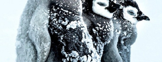 Cele mai frumoase fotografii ale anului 2016, adunate într-o galerie foto impresionantă Cele mai frumoase fotografii ale anului 2016, adunate într-o galerie foto impresionantă