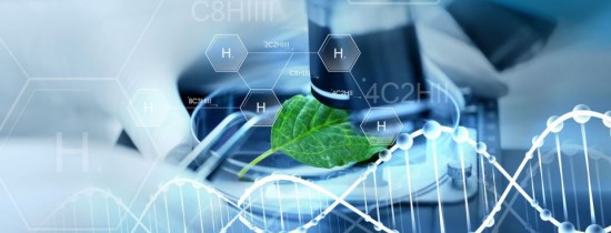 Premiile Scopus Awards Romania din 2017. Printre laureaţi se numără Universitatea de Vest din Timişoara Premiile Scopus Awards Romania din 2017. Printre laureaţi se numără Universitatea de Vest din Timişoara