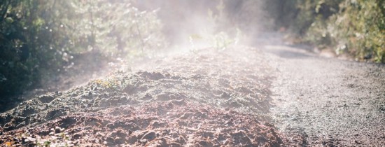 După un studiu de mai bine de 25 de ani, savanţii au ajuns la un rezultat îngrijorător: emisiile de carbon din solul pădurilor vor accelera încălzirea globală După un studiu de mai bine de 25 de ani, savanţii au ajuns la un rezultat îngrijorător: emisiile de carbon din solul pădurilor vor accelera încălzirea globală
