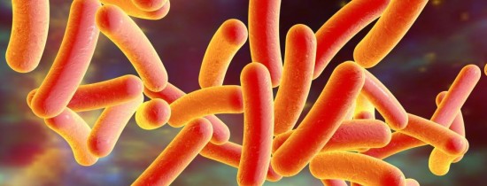 Tehnologia revoluţionară prin care cercetătorii au creat cel mai mic ''magnetofon'' din lume în interiorul bacteriilor vii poate rezolva o serie lungă de probleme serioase cu care se confruntă omenirea Tehnologia revoluţionară prin care cercetătorii au creat cel mai mic ''magnetofon'' din lume în interiorul bacteriilor vii poate rezolva o serie lungă de probleme serioase cu care se confruntă omenirea