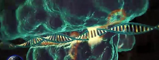 Descopera Acum: Savanţii au utilizat editarea genetică în timp real. Accidentul nuclear de la Cernobîl s-ar fi produs dintr-un alt motiv. Ce tip de şoferi îşi pierd cel mai uşor atenţia atunci când conduc Descopera Acum: Savanţii au utilizat editarea genetică în timp real. Accidentul nuclear de la Cernobîl s-ar fi produs dintr-un alt motiv. Ce tip de şoferi îşi pierd cel mai uşor atenţia atunci când conduc