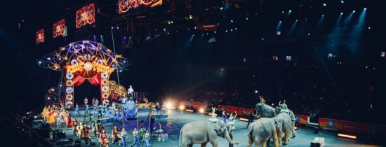 Noua emisiune de mărci poştale a Romfilatelia va avea tema magia circului Noua emisiune de mărci poştale a Romfilatelia va avea tema magia circului