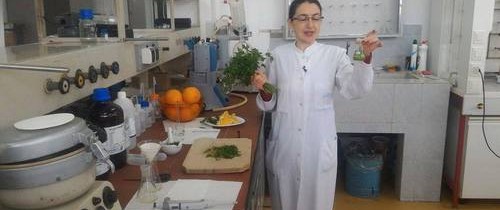 Un grup de specialişti din Cluj vrea să extragă vitamina C din pătrunjel Un grup de specialişti din Cluj vrea să extragă vitamina C din pătrunjel