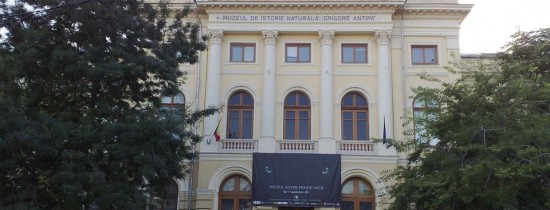 Expoziţia "10 zile de iubire", care prezintă poveşti de dragoste din lumea animală, la Muzeul Antipa din Bucureşti Expoziţia "10 zile de iubire", care prezintă poveşti de dragoste din lumea animală, la Muzeul Antipa din Bucureşti