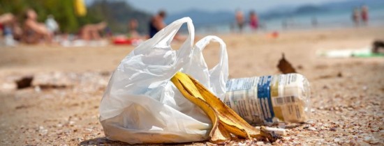 Pericolul real al plasticului a fost scos în sfârşit la iveală: efectele asupra fertilităţii pot fi ireversibile Pericolul real al plasticului a fost scos în sfârşit la iveală: efectele asupra fertilităţii pot fi ireversibile