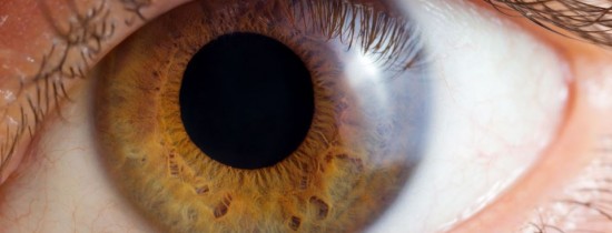Primul caz în istoria medicală: 14 viermi dintr-o specie care infecta vitele au fost găsiţi în ochiul unei femei Primul caz în istoria medicală: 14 viermi dintr-o specie care infecta vitele au fost găsiţi în ochiul unei femei