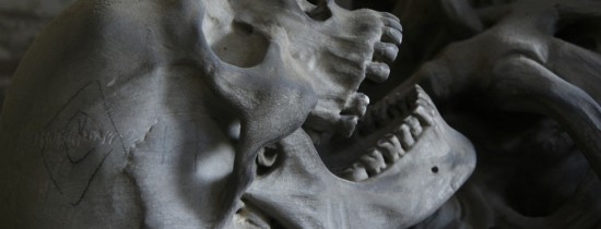 Ce spun de fapt schimbările evolutive ale craniului la oameni. Modul în care a evoluat Homo Sapiens este diferit faţă de ce se cunoştea până acum Ce spun de fapt schimbările evolutive ale craniului la oameni. Modul în care a evoluat Homo Sapiens este diferit faţă de ce se cunoştea până acum