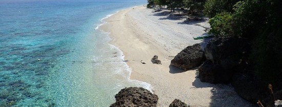 O descoperire de ''unul la un milion'' a fost realizată în Filipine O descoperire de ''unul la un milion'' a fost realizată în Filipine
