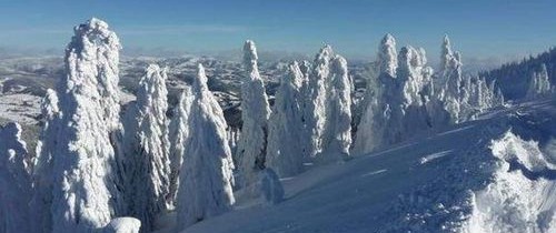 Peisaje de poveste, create de zăpadă şi viscol, în Munţii Apuseni Peisaje de poveste, create de zăpadă şi viscol, în Munţii Apuseni