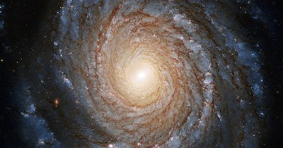 Un disc de acreţie neobişnuit de mic, observat în jurul unei găuri negre Un disc de acreţie neobişnuit de mic, observat în jurul unei găuri negre