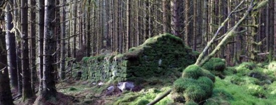 Ruinele unei posibile distilerii ilegale, descoperite în Highland-ul Scoţiei Ruinele unei posibile distilerii ilegale, descoperite în Highland-ul Scoţiei