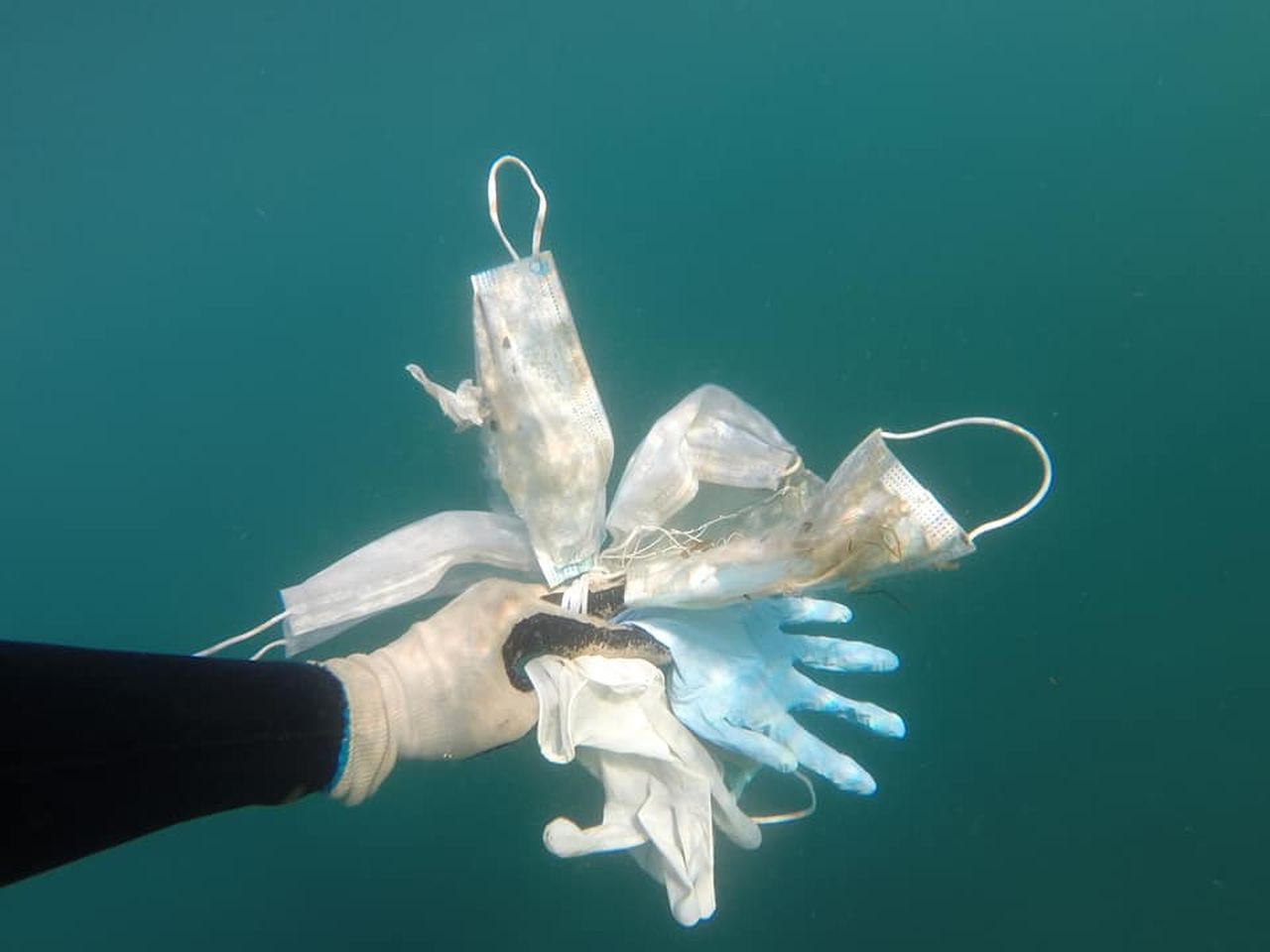 Pandemia duce la un nou tip de poluare. „Mai multe măști decât meduze în Mediterană”
