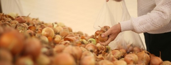 De ce este bine sa consumam ceapa: 5 beneficii pentru sanatatea noastra De ce este bine sa consumam ceapa: 5 beneficii pentru sanatatea noastra