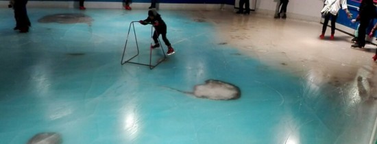 O "premieră mondială" horror în Japonia: patinoarul cu 5000 de vieţuitoare marine congelate în podea O "premieră mondială" horror în Japonia: patinoarul cu 5000 de vieţuitoare marine congelate în podea