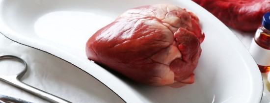 O maimuţă a SUPRAVIEŢUIT o perioadă record cu inima unui porc O maimuţă a SUPRAVIEŢUIT o perioadă record cu inima unui porc