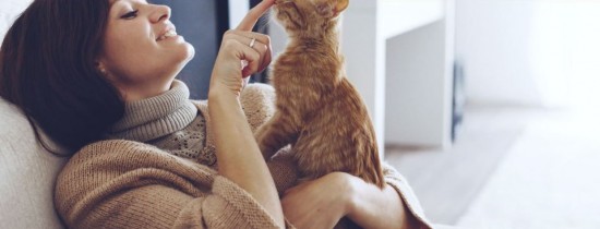 De ce animalele de companie fac lucruri bizare De ce animalele de companie fac lucruri bizare