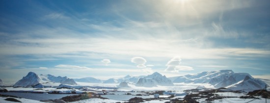 Lumea MINUNATĂ descoperită în apele îngheţate din Antarctica – VIDEO Lumea MINUNATĂ descoperită în apele îngheţate din Antarctica – VIDEO