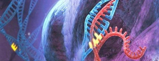 Metoda CRISPR, ''tehnologia incerdibilă ''care modifică genele în doar câteva săptămâni, a fost testată, pentru prima oară, pe oameni. Ce vor să facă americanii Metoda CRISPR, ''tehnologia incerdibilă ''care modifică genele în doar câteva săptămâni, a fost testată, pentru prima oară, pe oameni. Ce vor să facă americanii