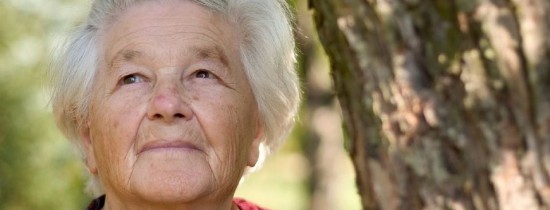 Bacteriile din flora intestinală joacă un rol important în dezvoltarea bolii Parkinson Bacteriile din flora intestinală joacă un rol important în dezvoltarea bolii Parkinson