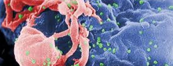 Vaccinul împotriva virusului HIV va trece în a doua fază de testare Vaccinul împotriva virusului HIV va trece în a doua fază de testare