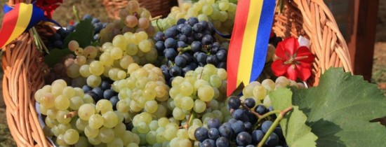 Cele mai scumpe vinuri din România, reapar pe piaţă. Cu cât se vinde o sticlă din celebrul vin de la Lechinţa Cele mai scumpe vinuri din România, reapar pe piaţă. Cu cât se vinde o sticlă din celebrul vin de la Lechinţa