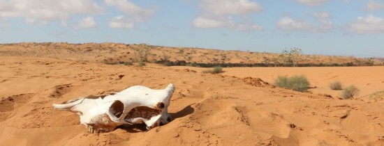 Sahara se EXTINDE: Cel mai mare deşert de pe glob a crescut cu 10% în ultimul secol din cauza schimbărilor climatice Sahara se EXTINDE: Cel mai mare deşert de pe glob a crescut cu 10% în ultimul secol din cauza schimbărilor climatice