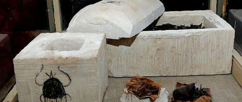 Zeci de pisici mumificate au fost descoperite într-un mormânt egiptean vechi de 2.500 de ani Zeci de pisici mumificate au fost descoperite într-un mormânt egiptean vechi de 2.500 de ani