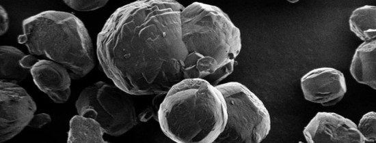 Microbi extremi, descoperiţi la sute de metri sub podeaua Mării Japoniei Microbi extremi, descoperiţi la sute de metri sub podeaua Mării Japoniei