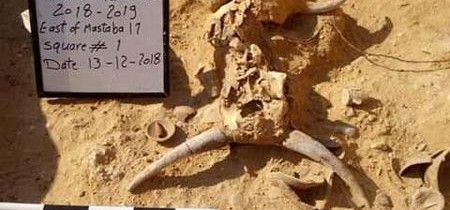 Un schelet misterios al unei adolescente a fost descoperit lângă o piramidă egipteană veche de 4.600 de ani Un schelet misterios al unei adolescente a fost descoperit lângă o piramidă egipteană veche de 4.600 de ani