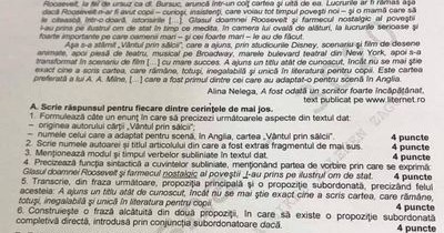 Evaluarea Naţională 2019. Subiectele la proba scrisă la Limba şi literatura română de la Evaluare Evaluarea Naţională 2019. Subiectele la proba scrisă la Limba şi literatura română de la Evaluare