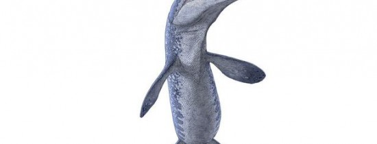 Fosila unui Tylosaurus, descoperită într-o mină din Canada Fosila unui Tylosaurus, descoperită într-o mină din Canada