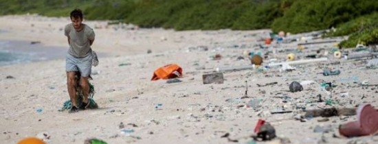 Deşeurile de plastic au transformat o insulă din Oceanul Pacific într-unul dintre cele mai poluate locuri de pe Pământ Deşeurile de plastic au transformat o insulă din Oceanul Pacific într-unul dintre cele mai poluate locuri de pe Pământ