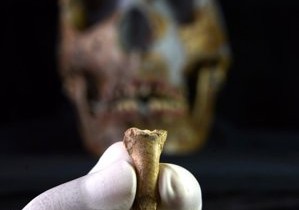 Una dintre ultimele bijuterii făcute de către neanderthalieni a fost descoperită în Spania Una dintre ultimele bijuterii făcute de către neanderthalieni a fost descoperită în Spania