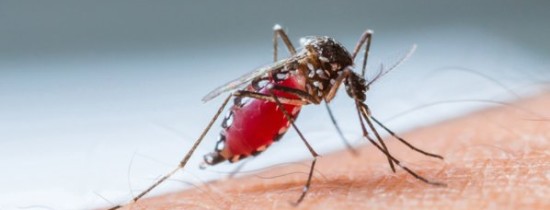 20 cele mai rele epidemii şi pandemii din istorie şi cum s-au încheiat ele 20 cele mai rele epidemii şi pandemii din istorie şi cum s-au încheiat ele