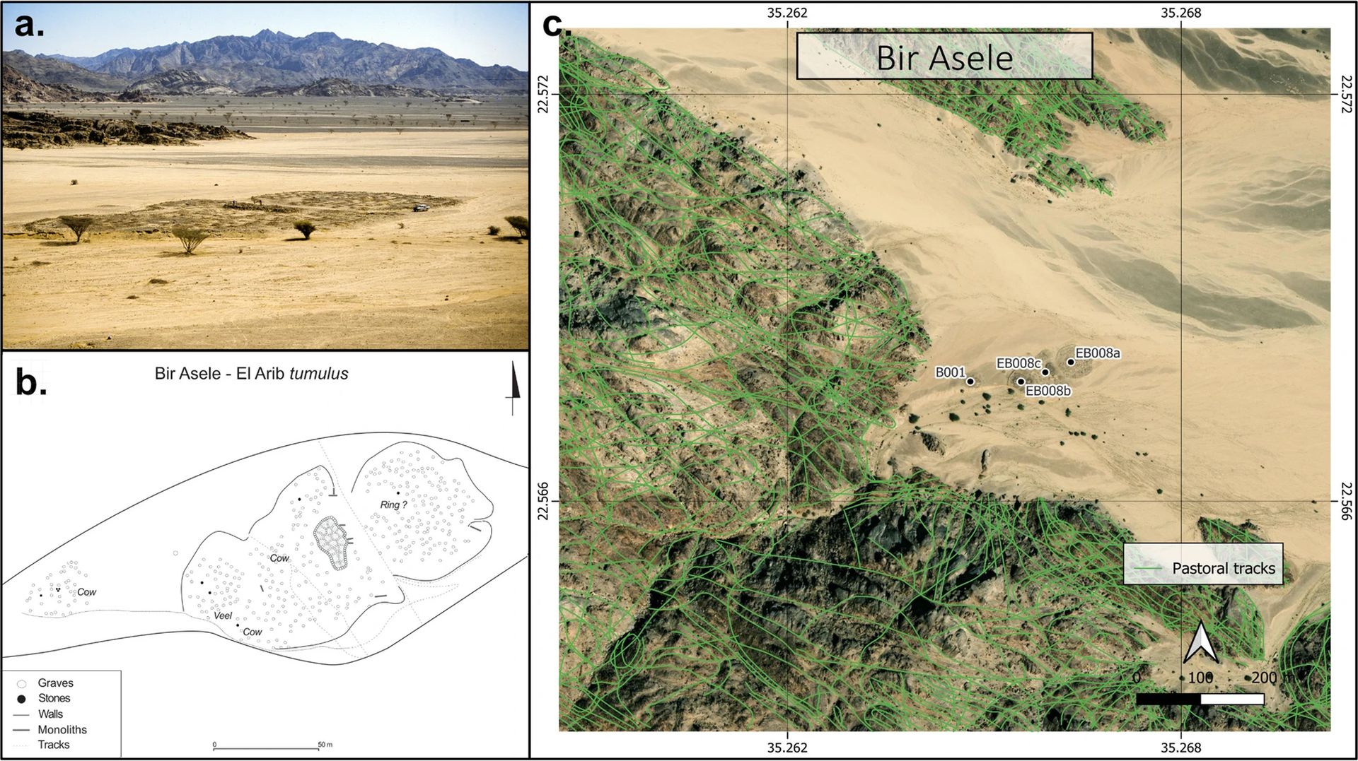 Identificarea a 260 de structuri colosale în deșertul Sahara pe fondul amplificării unei noi căutări de aur