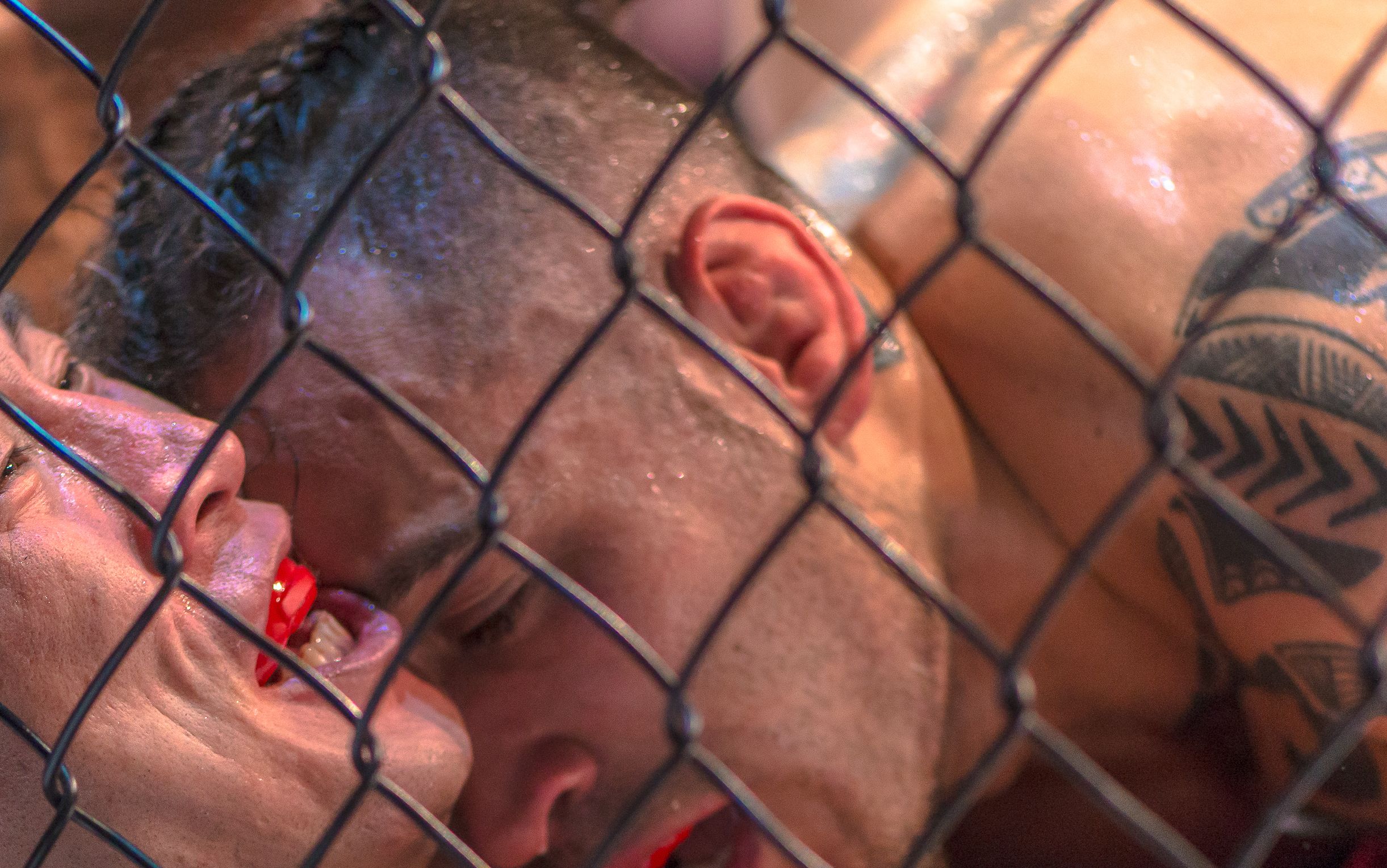 Modă bizară în Rusia: bărbații își disfigurează urechile pentru a arăta ca sportivii MMA