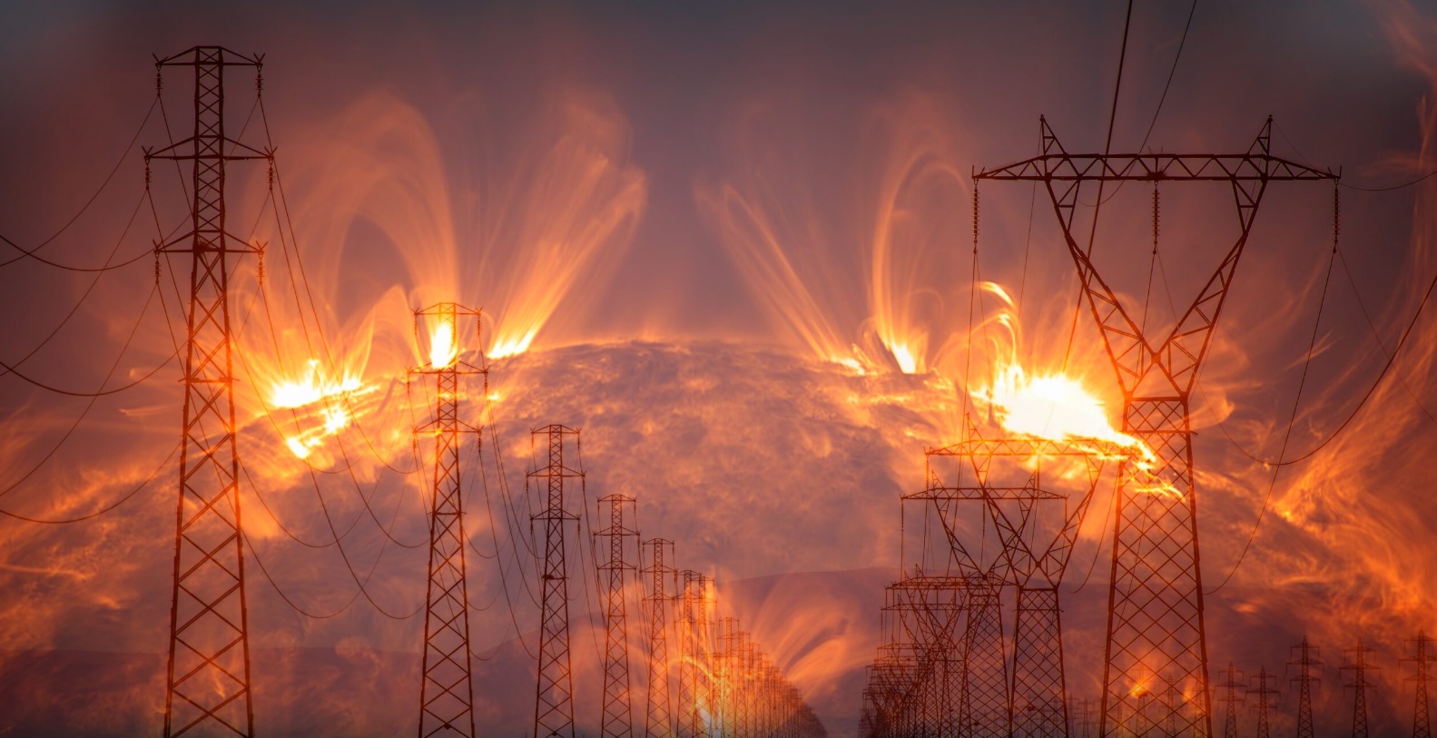 O catastrofă solară înfricoșătoare de acum 800 de ani, descoperită în arbori străvechi