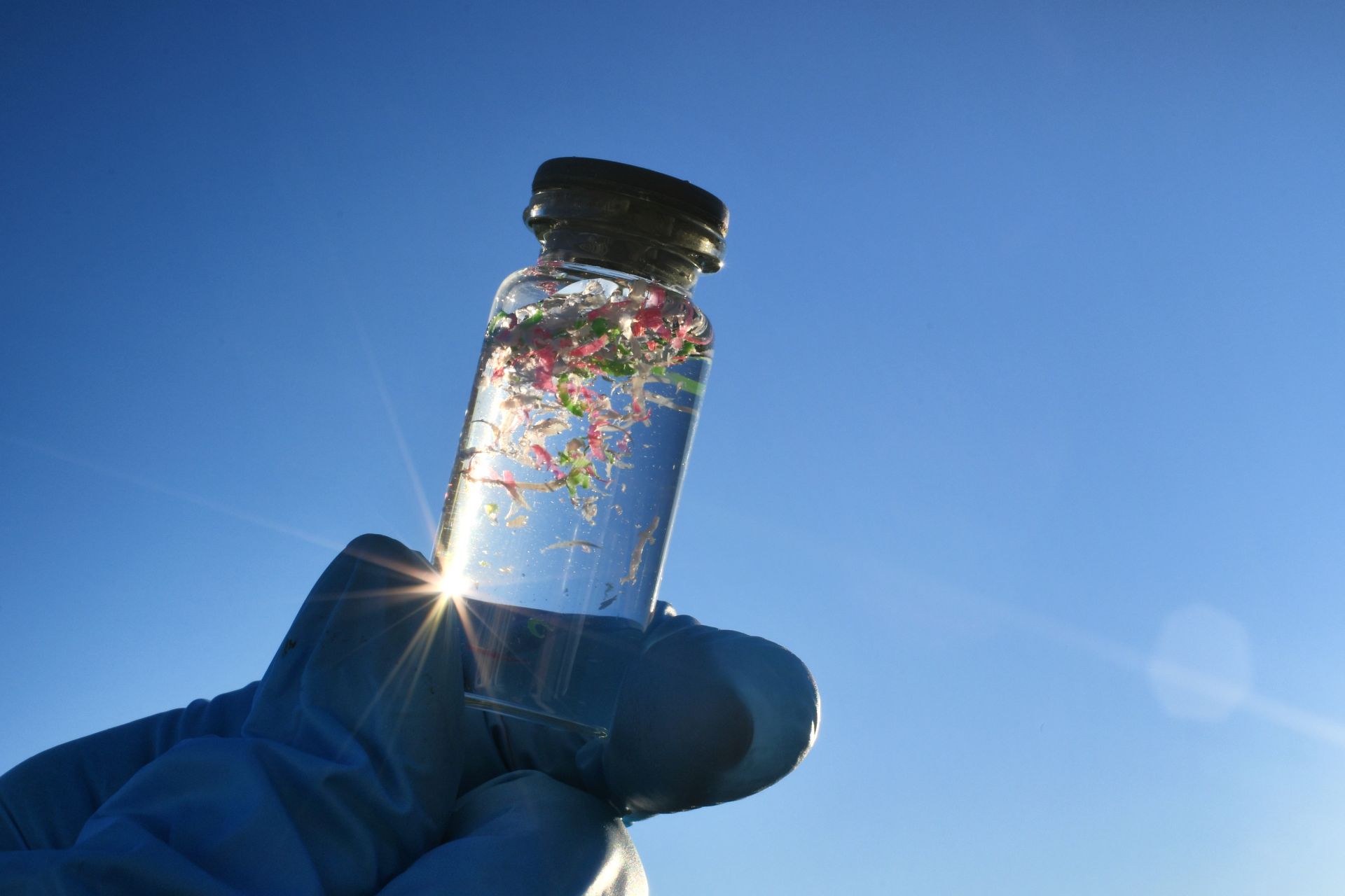 Cercetătorii creează alge capabile să absoarbă microplasticul din apa potabilă