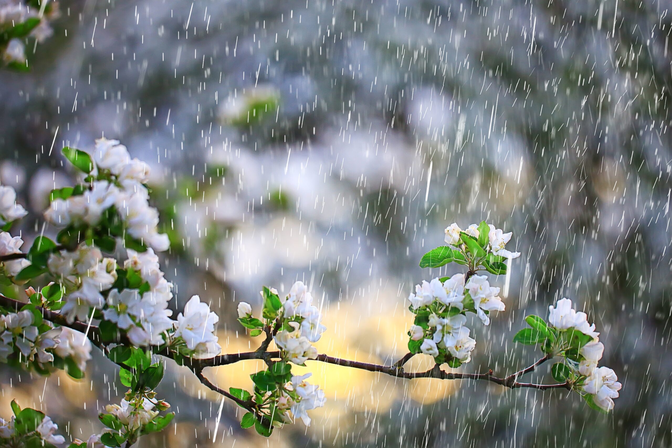 Prognoza climatică pentru săptămânile ce urmează în România: Comunicate meteorologice semnificative.