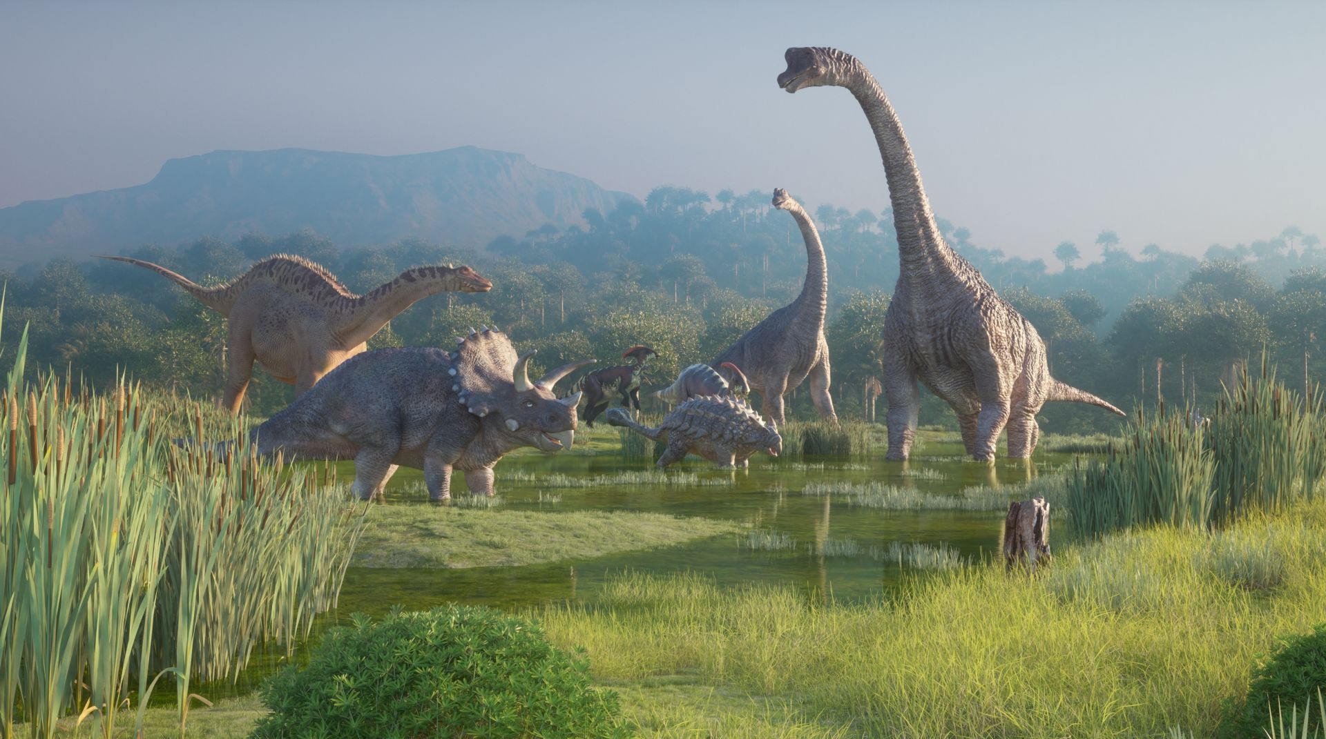 Un dinozaur imens ar putea schimba percepția noastră asupra titanilor din perioada Jurasicului.