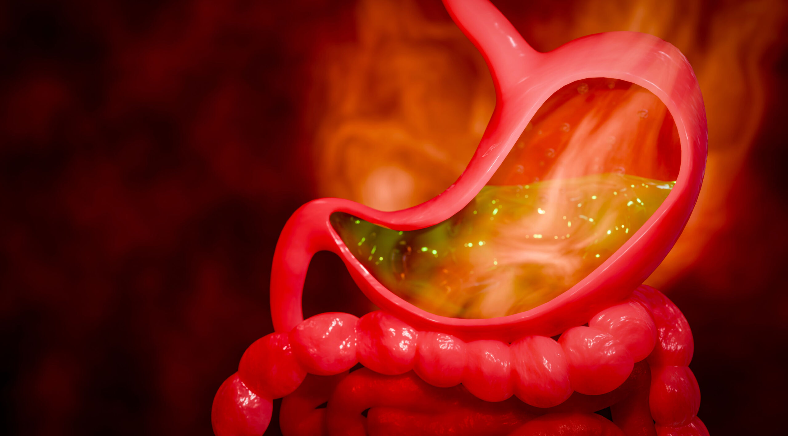 De ce sucul gastric nu distruge complet stomacul? Test de cultură generală.