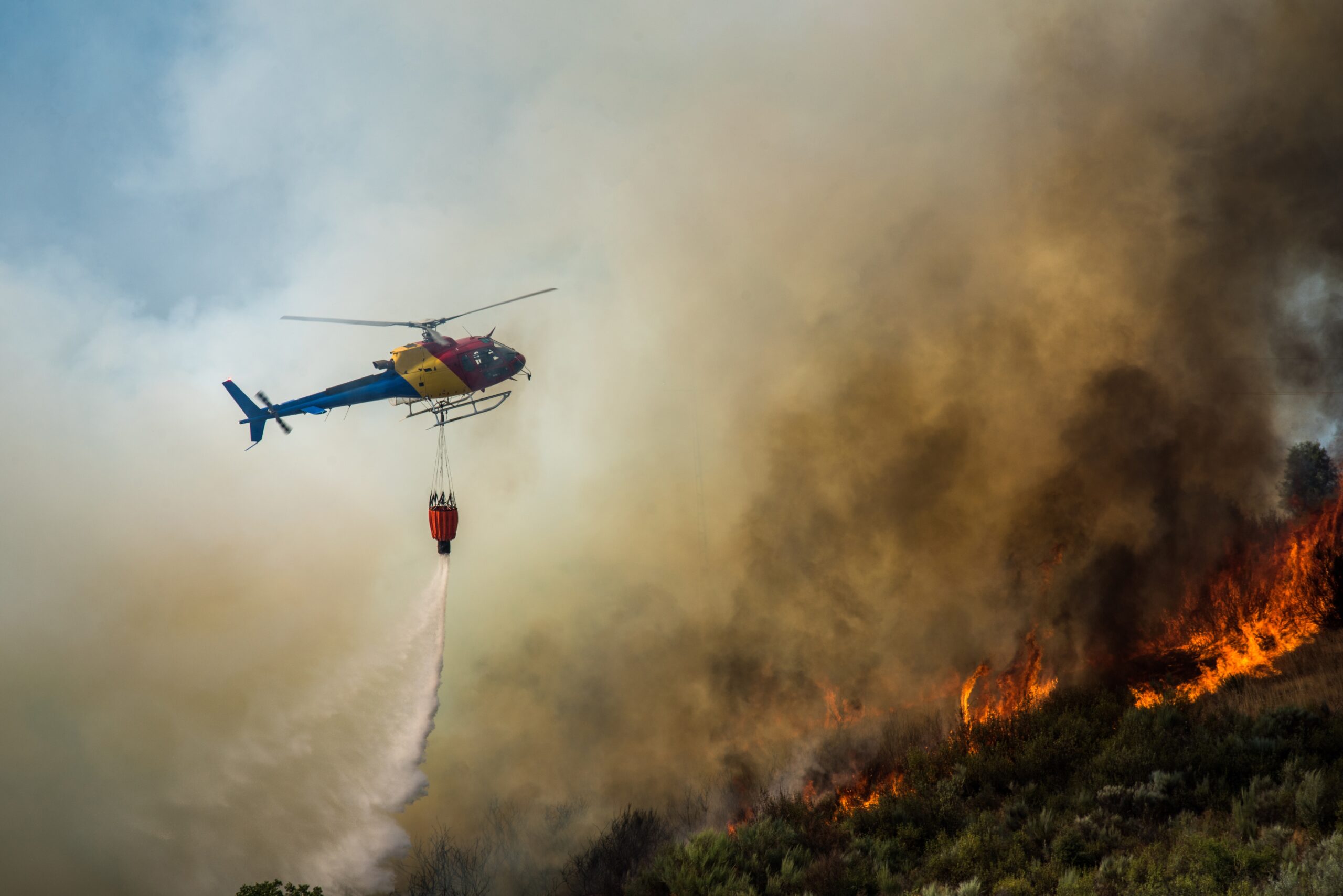 Fenomenul El Niño, aproape cert în acest an: Posibile efecte asupra Europei