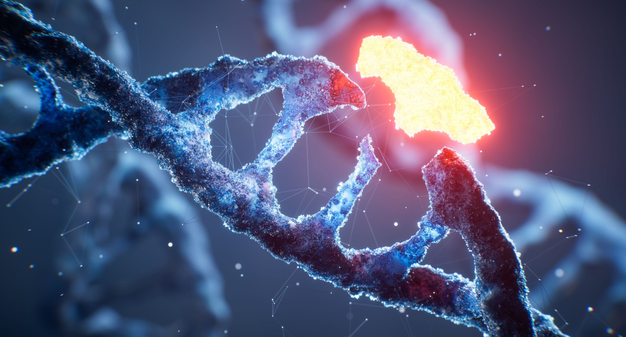 O mică modificare genetică transformă femelele în masculi.