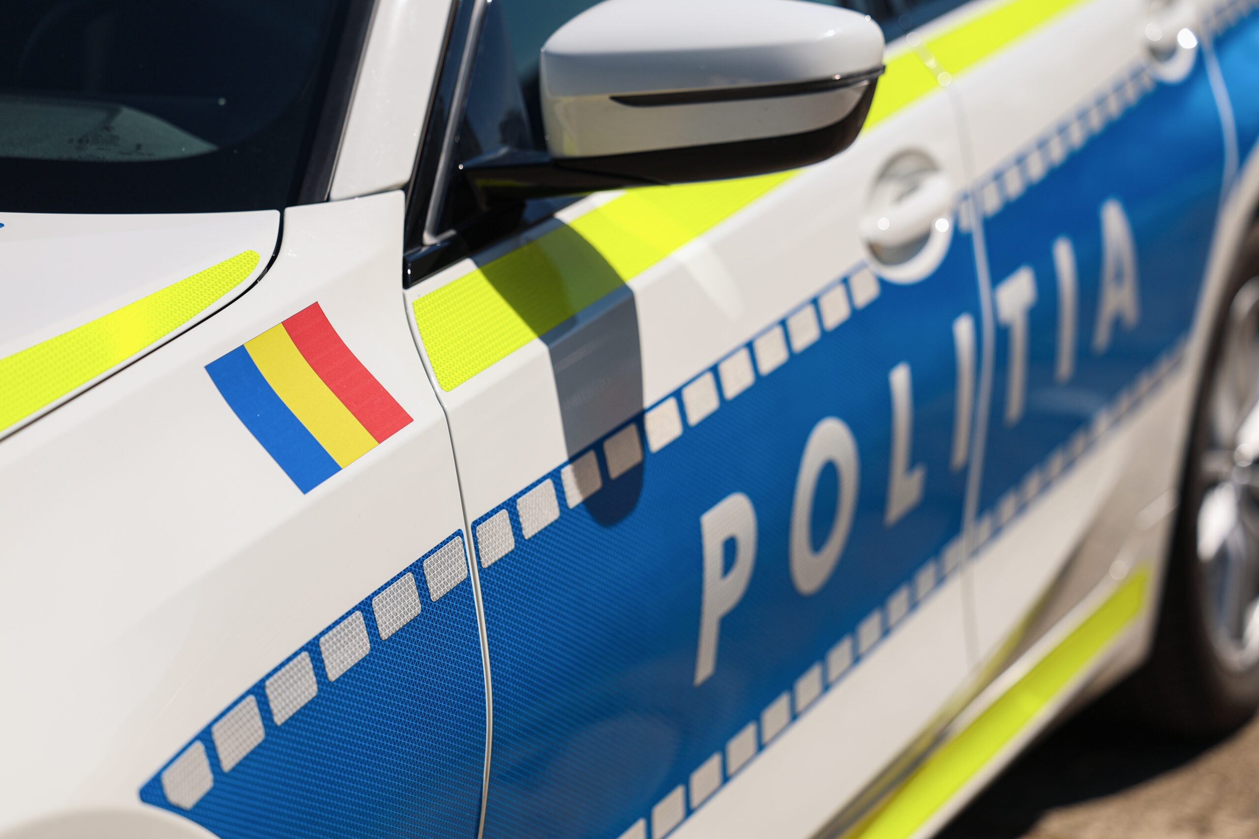 O statuie de valoare istorică din Germania a fost descoperită în casa unui bărbat din România