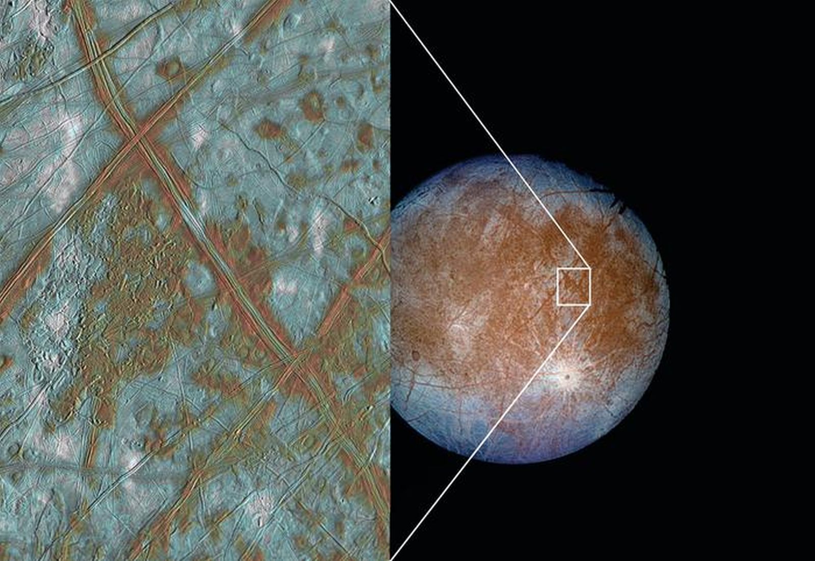 Probabilitatea ca Terra să fi expediat forme de viață către Europa, satelitul lui Jupiter
